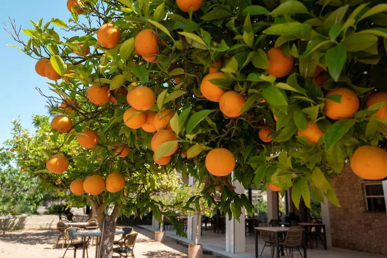 **** Hotel Can Arabi - Adults Only Puig D'en Valls Spain