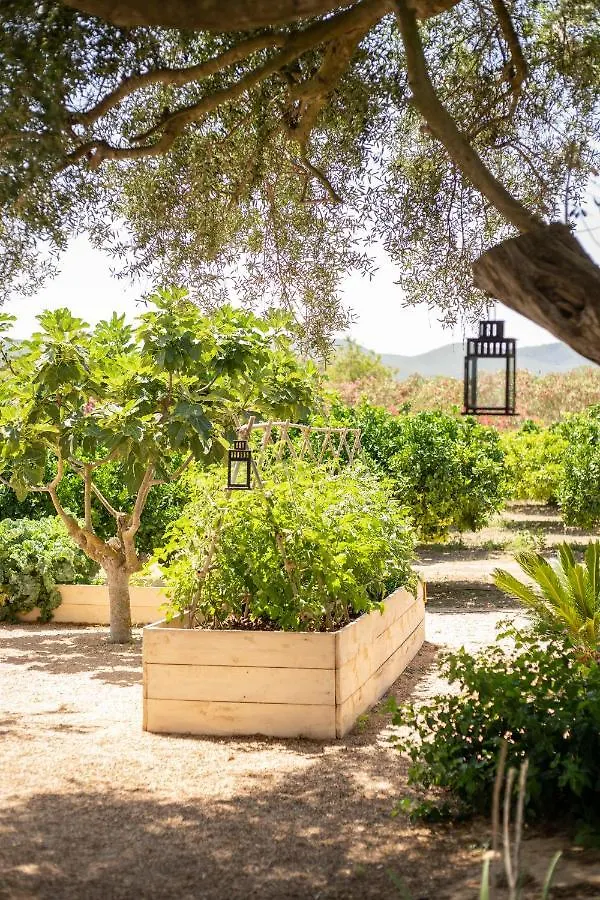 Hotel Can Arabi - Adults Only Puig D'en Valls
