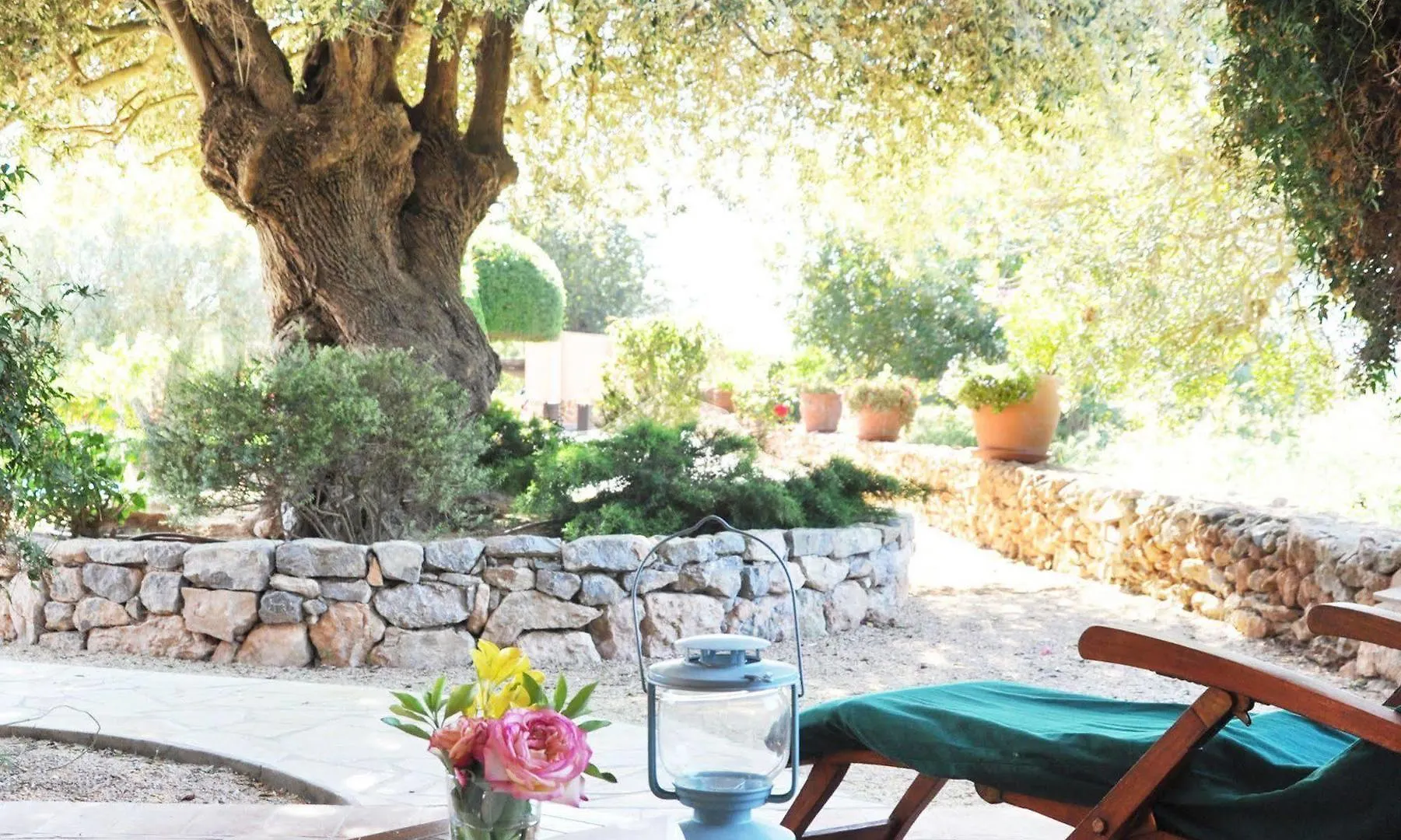 Hotel Can Arabi - Adults Only Puig D'en Valls